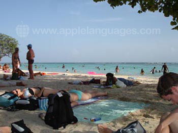 Schüler am Strand