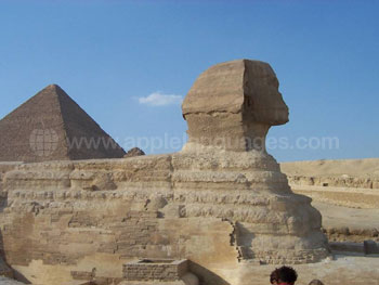 Die Sphinx