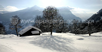 The stunning Swiss Alps in winter!