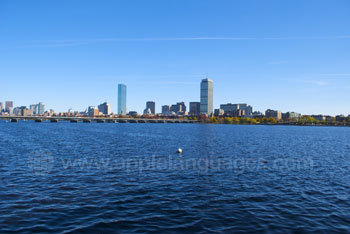 The Boston skyline