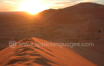 The Sahara is a short trip away