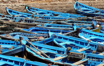 Fishing boats in the harbour