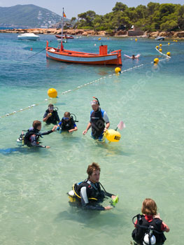 Students learning to scuba dive