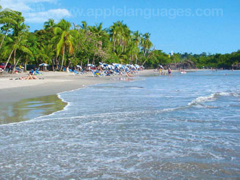 The stunning white sand beaches of Manuel Antonio
