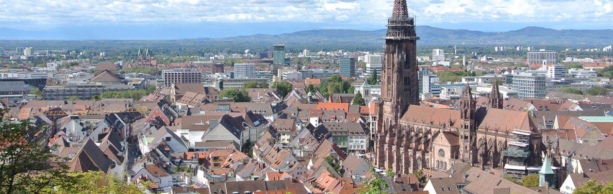 Freiburger Dächer und Münster, Deutschland