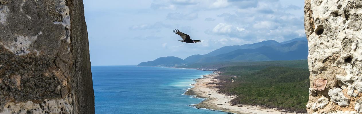 Ein vogel segelt über Santiago de Cuba